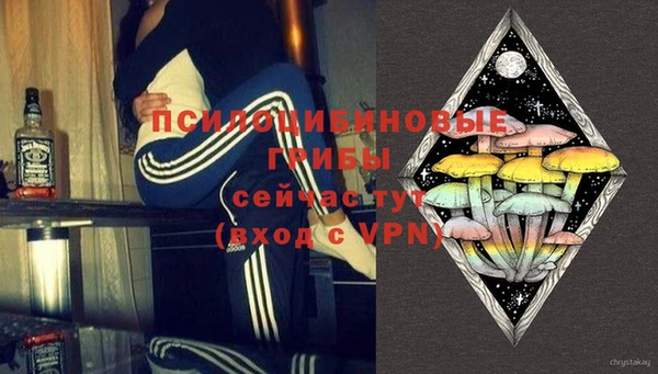 мдпв Богданович