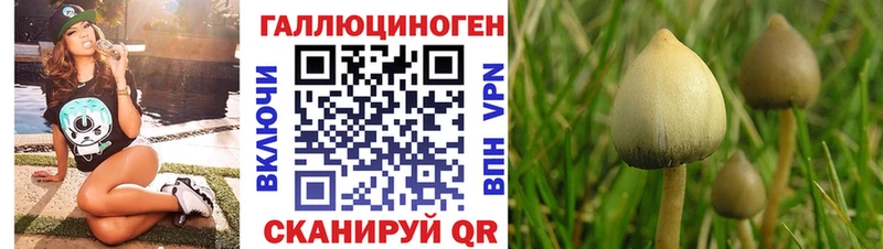 Псилоцибиновые грибы ЛСД  Купить  Тимашёвск 